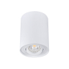 OPRAWA SUFITOWA PUNKTOWA N/T IP20 GU10  BIAŁY BORD DLP-50-W - KANLUX - 22551
