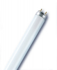 ŚWIETLÓWKA LINIOWA G13 18W/89 FLUORA L TLD - LEDVANCE - 4050300004235