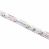 Taśma LED  L60 11W/M 12 IP65-WW - KANLUX - 33308