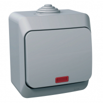 ŁĄCZNIK 1-BIEGUNOWY Z PODŚWIETLENIEM SZARY CEDAR PLUS - SCHNEIDER ELECTRIC - WDE000614