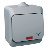 PRZYCISK "ŚWIATŁO"" SZARY CEDAR PLUS - SCHNEIDER ELECTRIC - WDE000616