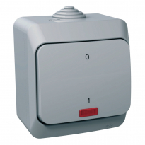 ŁĄCZNIK 2-BIEGUNOWY Z PODŚWIETLENIEM SZARY CEDAR PLUS - SCHNEIDER ELECTRIC - WDE000621