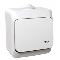 PRZYCISK "ŚWIATŁO" BIAŁY CEDAR PLUS - SCHNEIDER ELECTRIC - WDE000513
