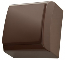 ŁĄCZNIK 1-BIEGUNOWY N/T IP20 BRĄZ BIS WNT-100P - OSPEL - ŁN-1B/24