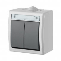 ŁĄCZNIK PODWÓJNY NATYNKOWY IP55 SZARY 2K AQUANT - ELEKTRO-PLAST NASIELSK - 1202-10