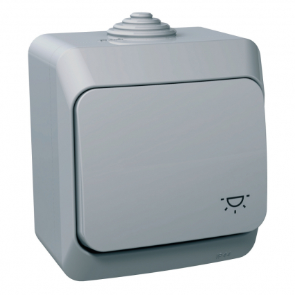 PRZYCISK "ŚWIATŁO" JASY SZARY CEDAR PLUS - SCHNEIDER ELECTRIC - WDE000613
