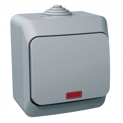 ŁĄCZNIK 1-BIEGUNOWY Z PODŚWIETLENIEM SZARY CEDAR PLUS - SCHNEIDER ELECTRIC - WDE000614