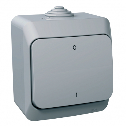 ŁĄCZNIK 2-BIEGUNOWY SZARY CEDAR PLUS - SCHNEIDER ELECTRIC - WDE000620