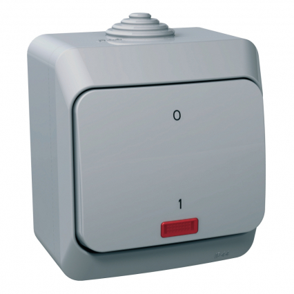 ŁĄCZNIK 2-BIEGUNOWY Z PODŚWIETLENIEM SZARY CEDAR PLUS - SCHNEIDER ELECTRIC - WDE000621