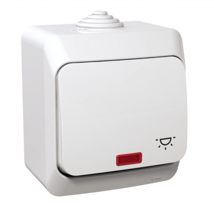 PRZYCISK "ŚWIATŁO" Z PODŚWIETLENIEM BIAŁY CEDAR PLUS - SCHNEIDER ELECTRIC - WDE000516