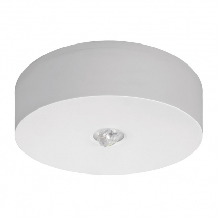 OPRAWA AWARYJNA LED 6W 1H JEDNOZADANIOWA AUTOTEST IP65 BIAŁA AXN - AWEX Sp. z o.o. - AXNO/6W/B/1/SE/AT/WH
