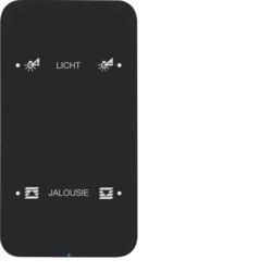 SENSOR DOTYKOWY PODWÓJNY KONFIGUROWALNY CZARNY SZKŁO R.1  - HAGER - 75142165