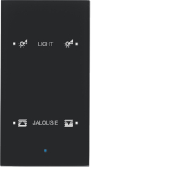 SENSOR SZKLANY DOTYKOWY PODWÓJNY KONFIGUROWALNY SZKŁO CZARNE TS  - HAGER - 75142935