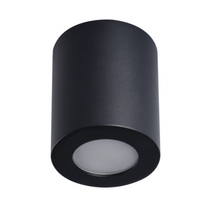 Oprawa sufitowa punktowa SANI IP44 DSO-B - KANLUX - 29240
