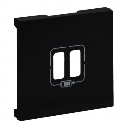 NS:CZ PLAK USB A+A 2.4 A CZARN - LEGRAND - 864524