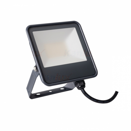 NAŚWIETLACZ LED 30W 3450LM 4000K IP65 CZARNY IQ LED FL - KANLUX - 33882