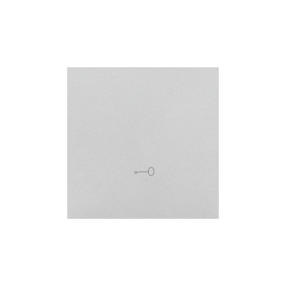 Klawisz pojedynczy z piktogramem „klucz” do łączników/przycisków; Aluminium mat Simon 55 - KONTAKT SIMON - TKWK1/143