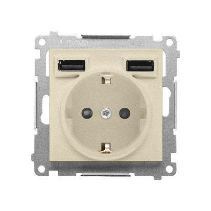 Gniazdo schuko ze zintegrowaną ładowarką 2xUSB A (moduł); Szampański mat Simon 55 - KONTAKT SIMON - TGSZ1ZUSB2AA.01/144