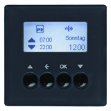 ŻALUZJOWY ŁĄCZNIK CZASOWY QUICKLINK ANTRACYT Q.1/Q.3 KNX RF  - HAGER - 85745126